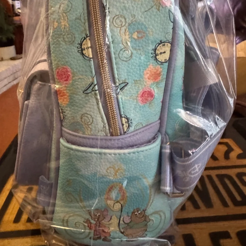 Disney Princess Wonda Backpack Girls Small Bag NWt